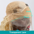 Blonde Curly Wig Vendors Hd Full Lace Human Hair Wigs Wholesale Human Hair Wigs
